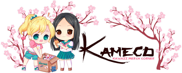 Kameco