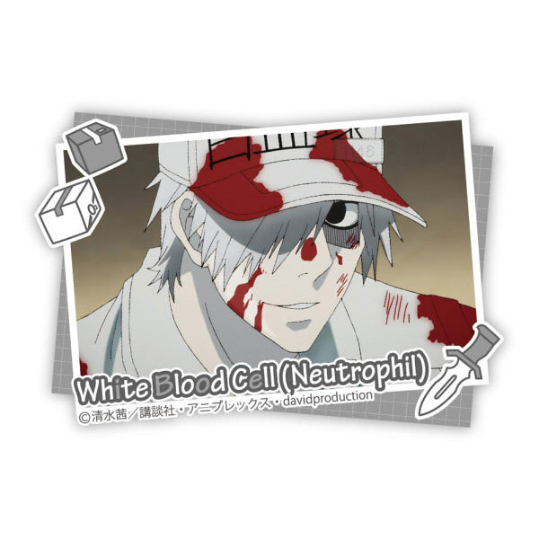 (5249247117452)